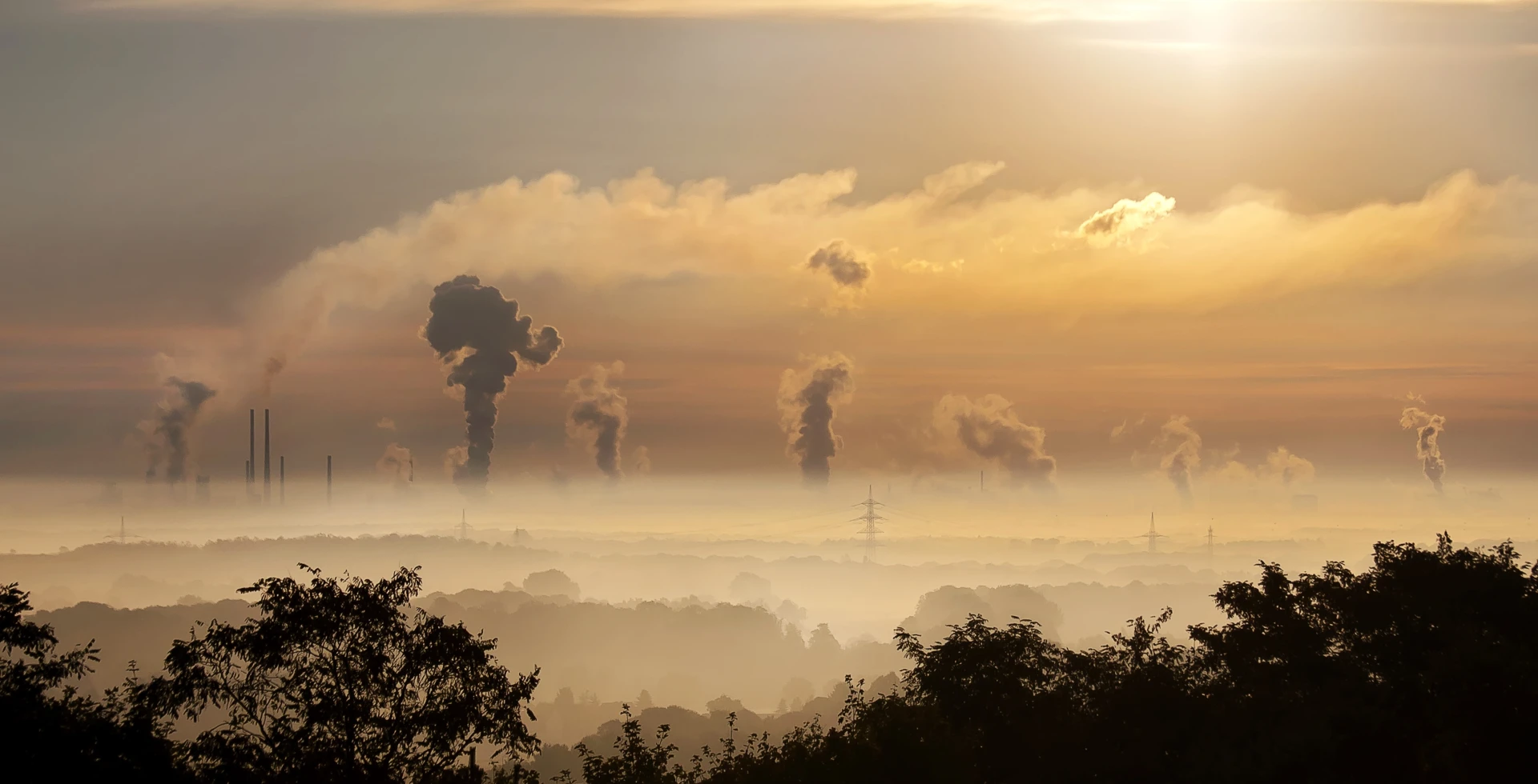 Carbon Image 1
