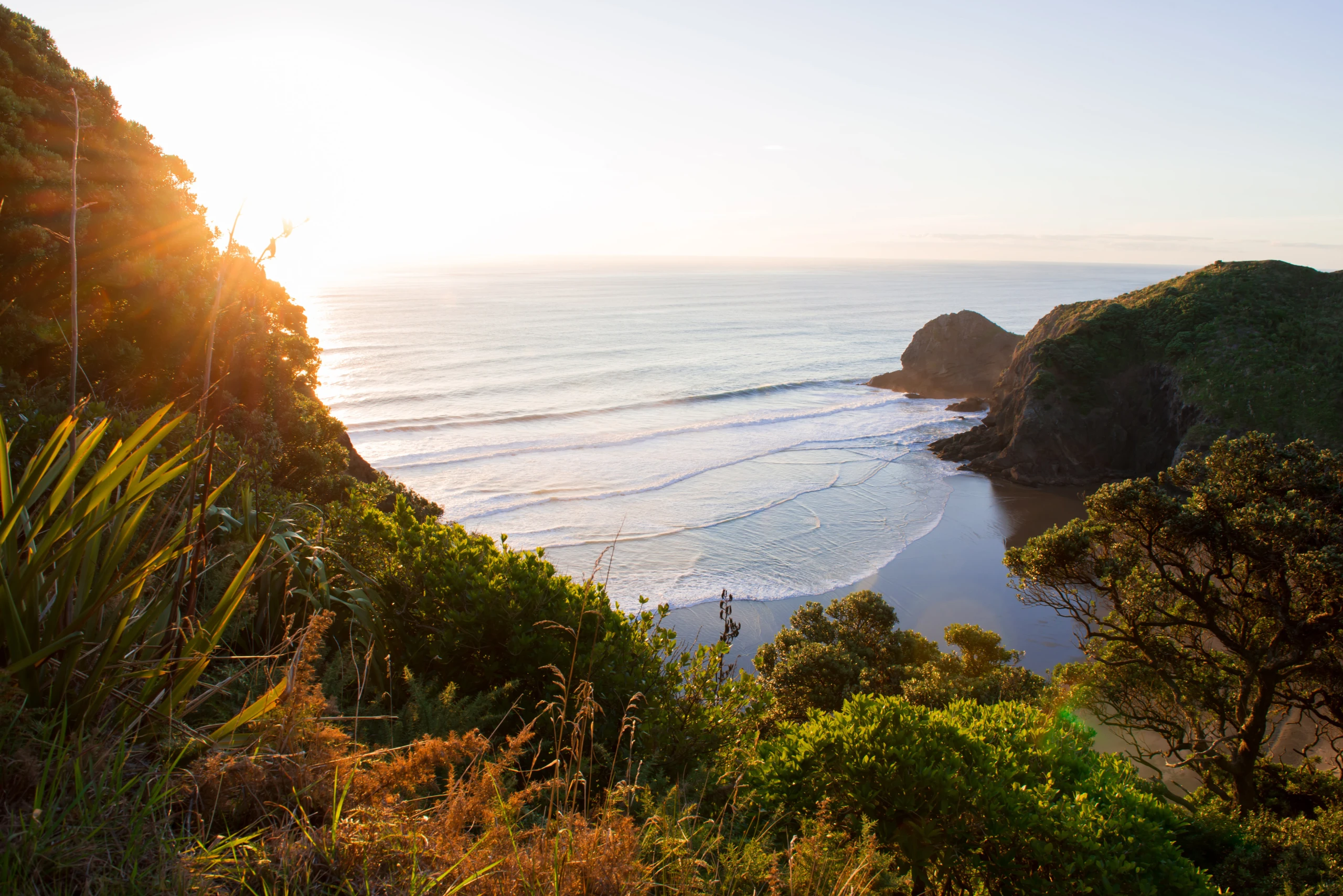 kyle myburgh zWWq8J6igOo unsplash